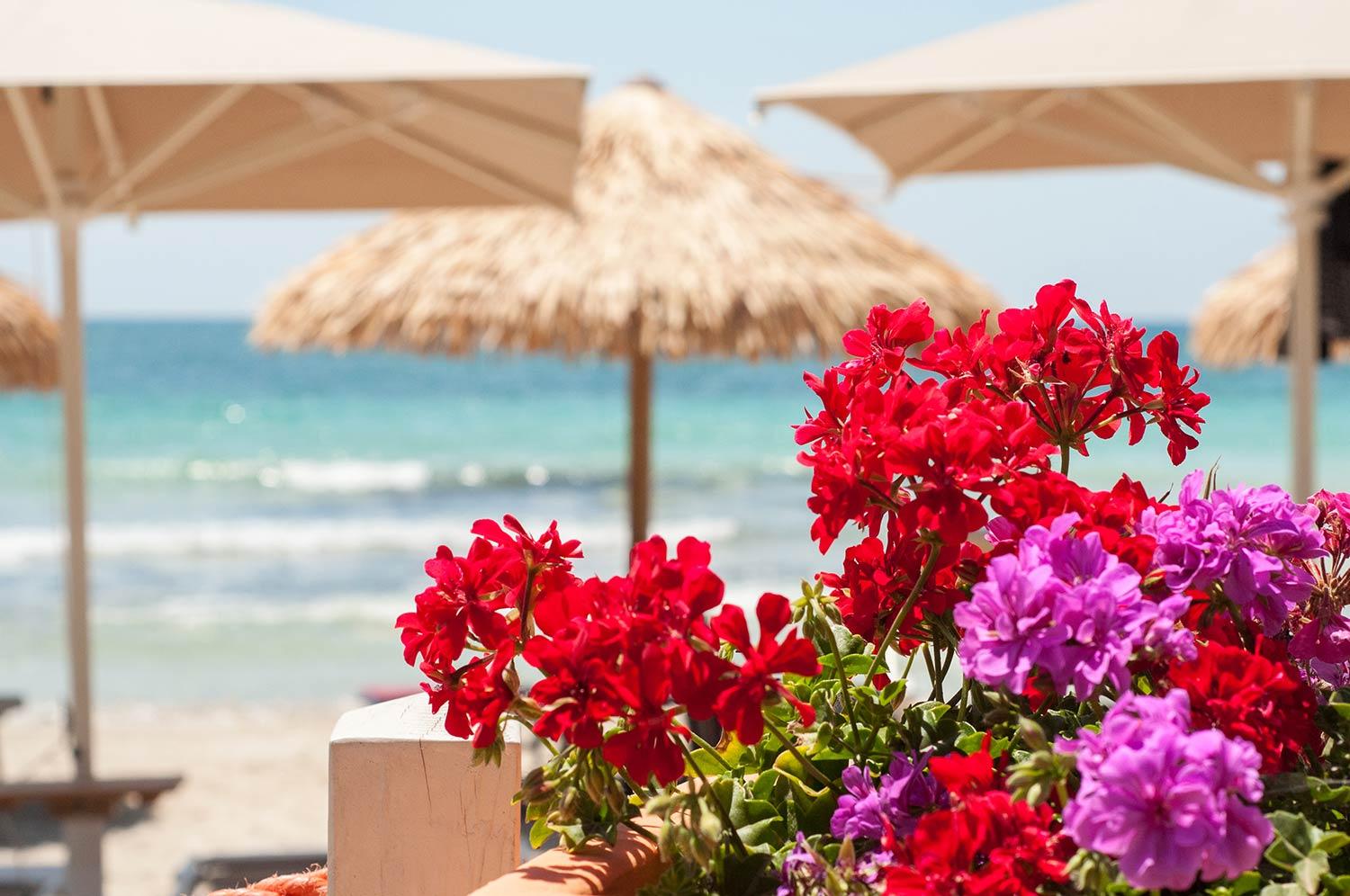 Conchiglia Azzurra Resort & Beach Porto Cesareo Zewnętrze zdjęcie